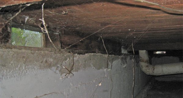 basement crawl space