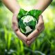 eco-friendly hands holding the earth